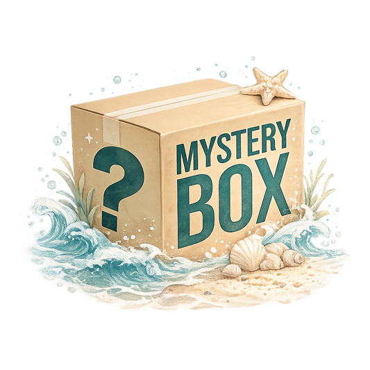Lily's Mystery Box